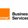 endian-orange-business-services_statement.png
